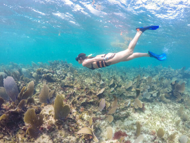 Live the moment while swimming in the Isla Mujeres reef and be part of the under-water nature here in our Half Day Catamaran Tour