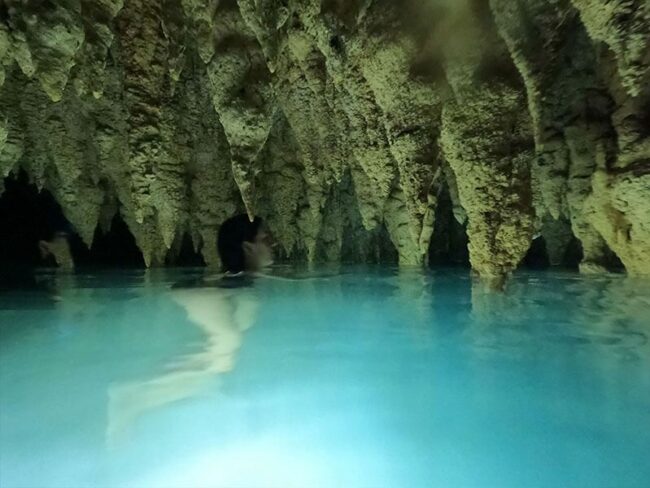 Swim in a hidden underground river and discover its wonders in Tulum Tours From Riviera Maya