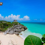 Get ready for Tulum Tours from Rivera Maya and explore the beauty of its beaches, ruins, culture, and more!