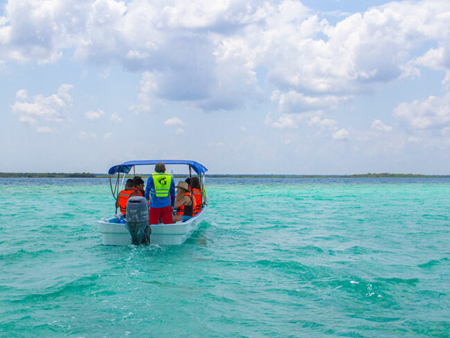 Feel the breeze exploring these beautiful waters and the four cenotes that this Bacalar 7 Colors Lagoon has to offer you