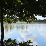 Have a calm adventure walking around the lake located next to Coba while visiting the Mayan Ruins in the Full Day Coba Ruins and Jungle ATV Tour