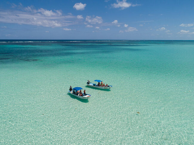 Embark on a captivating adventure through Sian Kaan by boat at our Sian Kaan Full Adventure trip, a mesmerising biosphere reserve. Witness stunning aquatic animals, such as: Dolphins, sea turtles, and manatees. To end the excursion, we will have a delicious buffet.