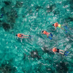 Grab your life vest and the rest of the snorkelling equipment, enjoy from the refreshing crystal clear waters of the Caribbean sea, relax as you watch the fish, dolphins, and turtles swim around, and enjoy this experience with a professional guide at the Sian Kaan Full Adventure Excursion!