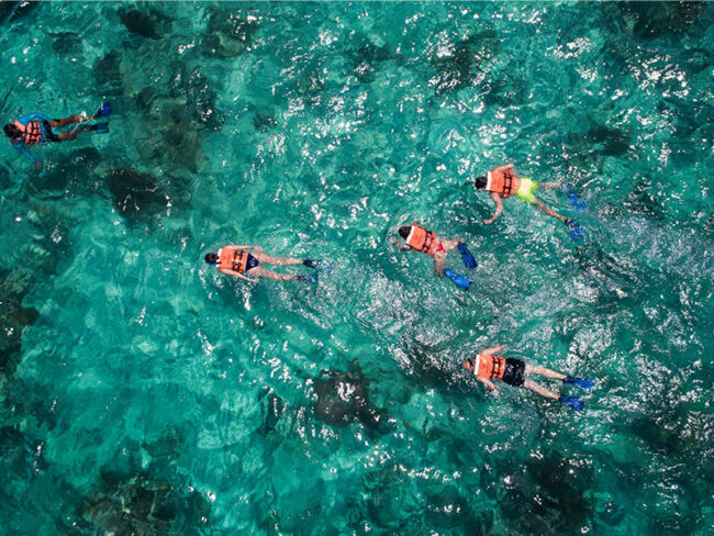 Grab your life vest and the rest of the snorkelling equipment, enjoy from the refreshing crystal clear waters of the Caribbean sea, relax as you watch the fish, dolphins, and turtles swim around, and enjoy this experience with a professional guide at the Sian Kaan Full Adventure Excursion!