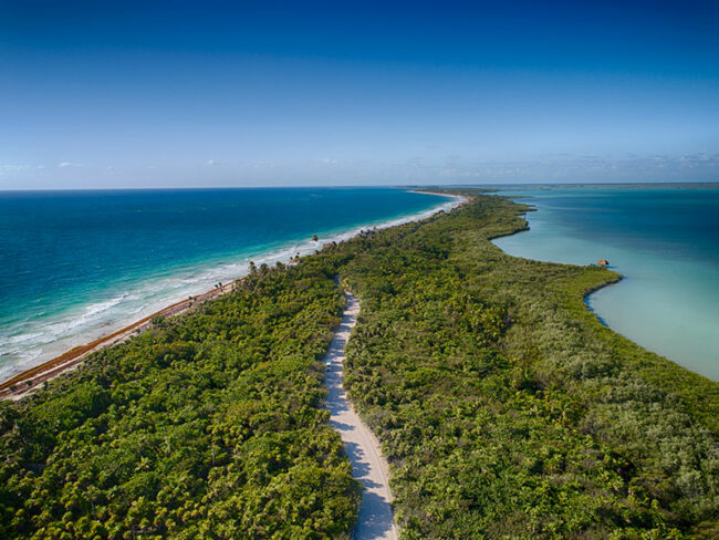 Discover this amazing area full of nature and wonders, roam around Sian Kaan and have a fun excursion at the Sian Kaan Full Adventure Trip, where you will explore the Caribbean sea by boat while seeing aquatic animals, swim in crystal clear cenotes, and eat a delicious buffet.