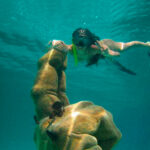 Go snorkelling and discover the underwater statues during the half day Private Catamaran 45 guests to Isla Mujeres