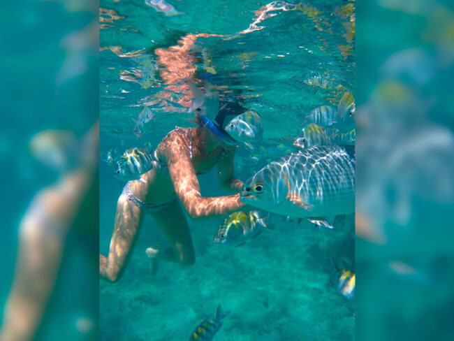 Go snorkelling in Isla Mujeres and get the chance to swim with fish under turquoise water at the half day Private Catamaran 45 guests