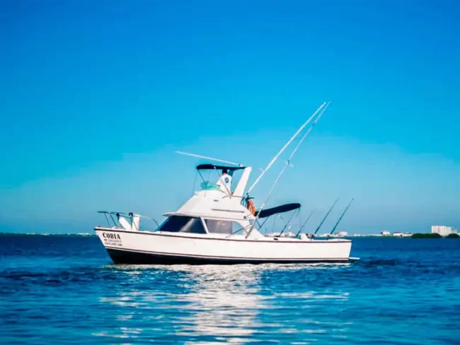 Looking for Mahi Mahi, Sailfish, Marlin, or maybe a Barracuda, this is a perfect private boat for you