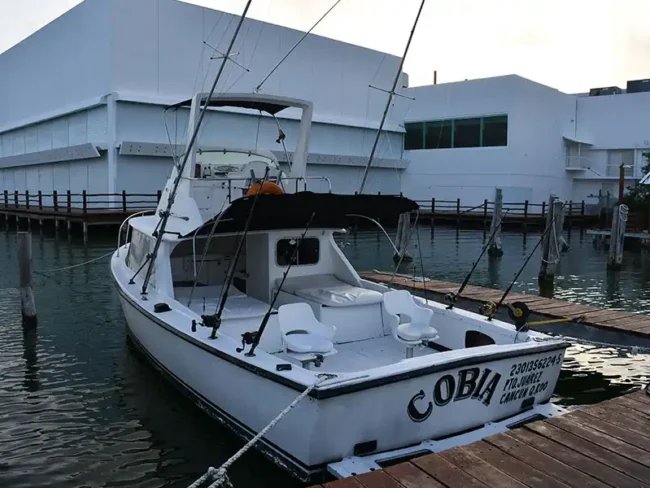 Get onboard on Cobia Fishing Yacht Six Guests trip with drinks, music, lunch, and great service included!