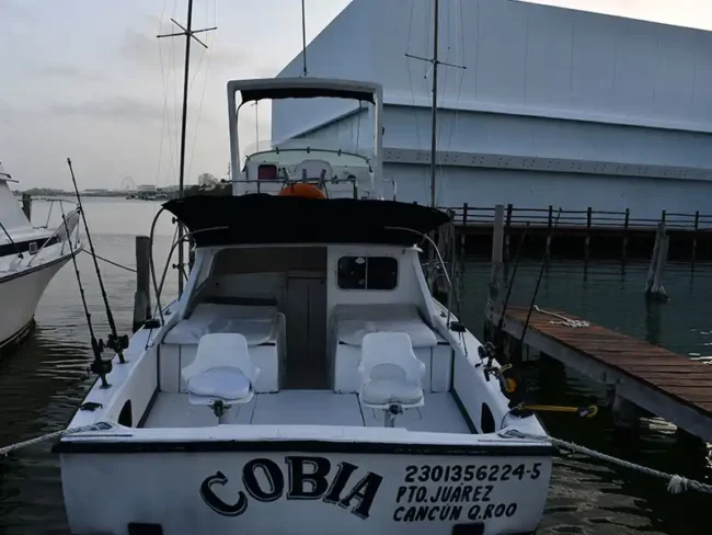 Get ready for the best fishing day out! listen to your own favourite music and enjoy having a drink while fishing with your family and friends at the Cobia Fishing Yacht Six Guests