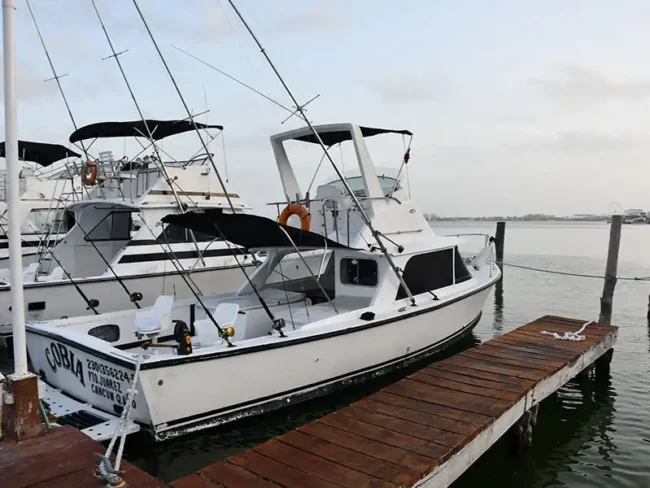 Your Cobia Fishing Yacht Six Guests is waiting for you! Experience the beauty of fishing in Cancun! Grab a Mahi Mahi or other fish that live in the Caribbean sea