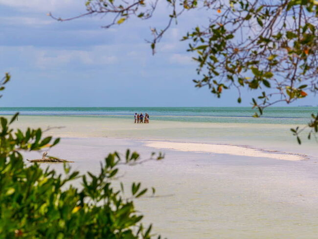 Go on a Full Day Holbox Excursion and enjoy the tranquility of exploring the Holbox beaches with family and friends