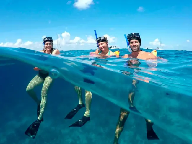 Snorkel in crystal clear waters and discover one of the best snorkelling spots at the Private Sail Cat 30 Guests Full Day tour to Isla Mujeres