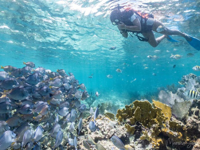 Snorkel in crystal clear waters while being surrounded by colourful fish and enjoy the rest of the activities on our half day private catamaran to Isla Mujeres tour