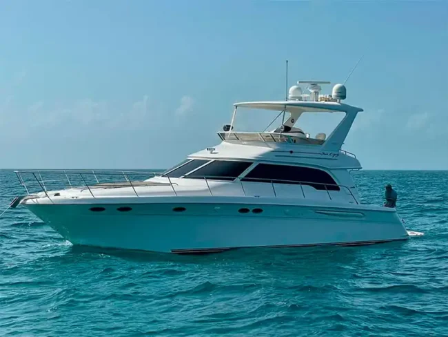 Luxurious Private Yacht for 20 People / this yacht includes a spacious area at the front and a shaded area at the back part of the yacht