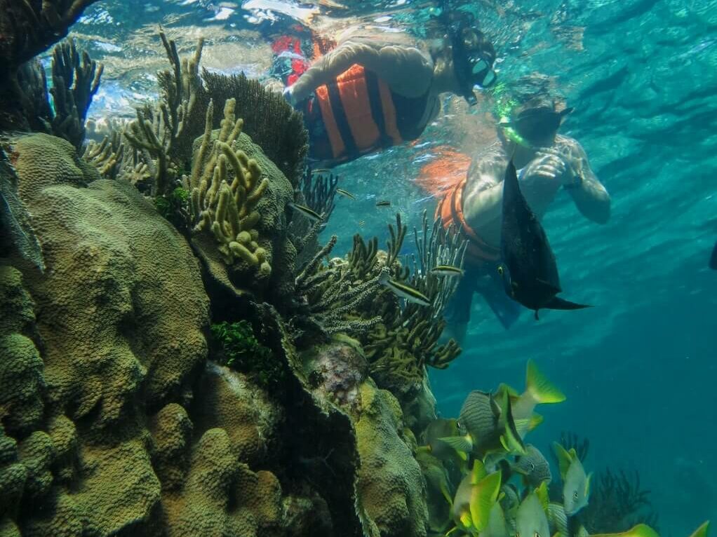 Snorkelling at Ixlsche Reef in crystal clear waters - Isla Contoy and Isla Mujeres excursion