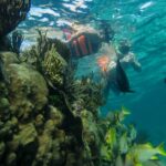 Snorkelling at Ixlsche Reef in crystal clear waters - Isla Contoy and Isla Mujeres excursion