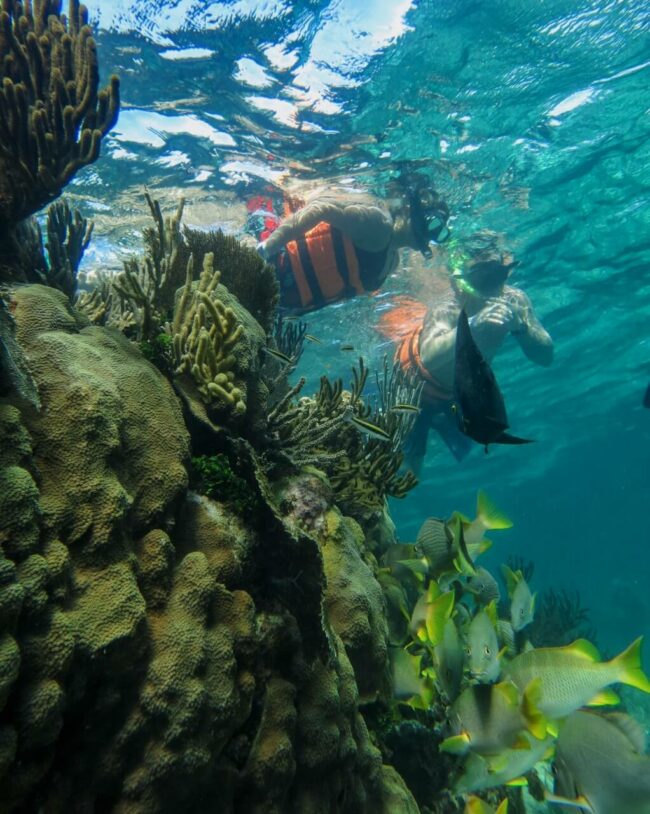 Snorkelling at Ixlsche Reef in crystal clear waters - Isla Contoy and Isla Mujeres excursion